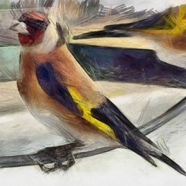 Vogel