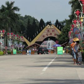 Shenzhen Zoo