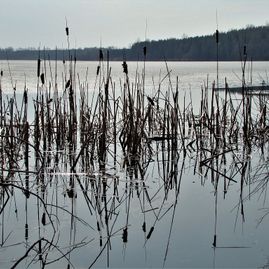 Kurt Wieser Reisebilder Kanada 6